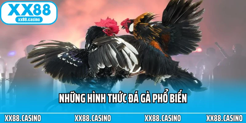 Những hình thức đá gà phổ biến Những hình thức đá gà phổ biến